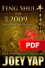 Feng Shui for 2009