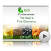 The BaZi's 5 Elements