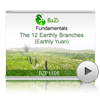The 12 Earthly Branches (Earthly Yuan)<br>(BZP1105)