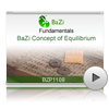 BaZi Concept of Equilibrium<br>(BZP1108)