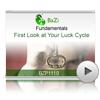 First Look at Your Luck Cycle<br>(BZP1110)