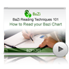 How to Read your Bazi Chart<br>(BZP1201)