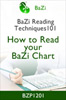 How to Read your Bazi Chart