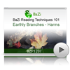 Earthly Branches - Harms<br>(BZP1207)