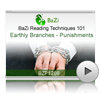 Earthly Branches - Punishments<br>(BZP1208)