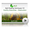 Earthly Branches - Destruction<br>(BZP1209)