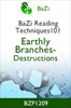 Earthly Branches - Destruction