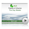 The Day Master<br>(BZP1301)