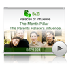 The Month Pillar - The Parents Palace's Influence (BZP1304)