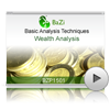 Wealth Analysis<br>(BZP1501)